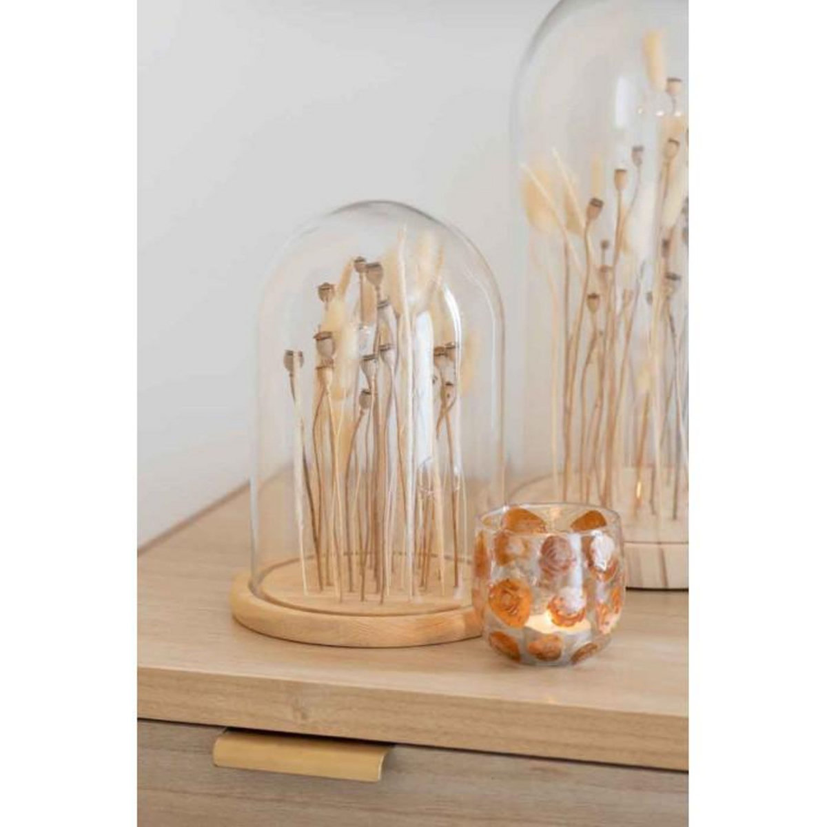 Paris Prix Cloche en Verre Déco  Fleurs Séchées  26cm Écru