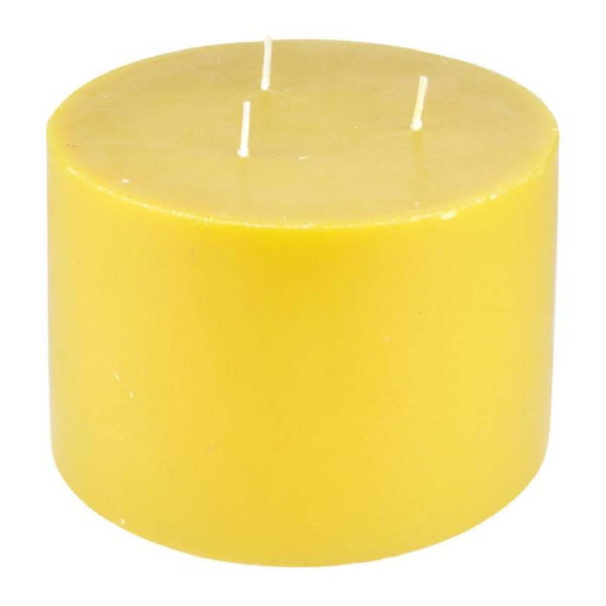 Paris Prix Bougie Déco Parfumée  Trendie  15cm Miel Sauvage