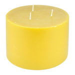 Paris Prix Bougie Déco Parfumée  Trendie  15cm Miel Sauvage