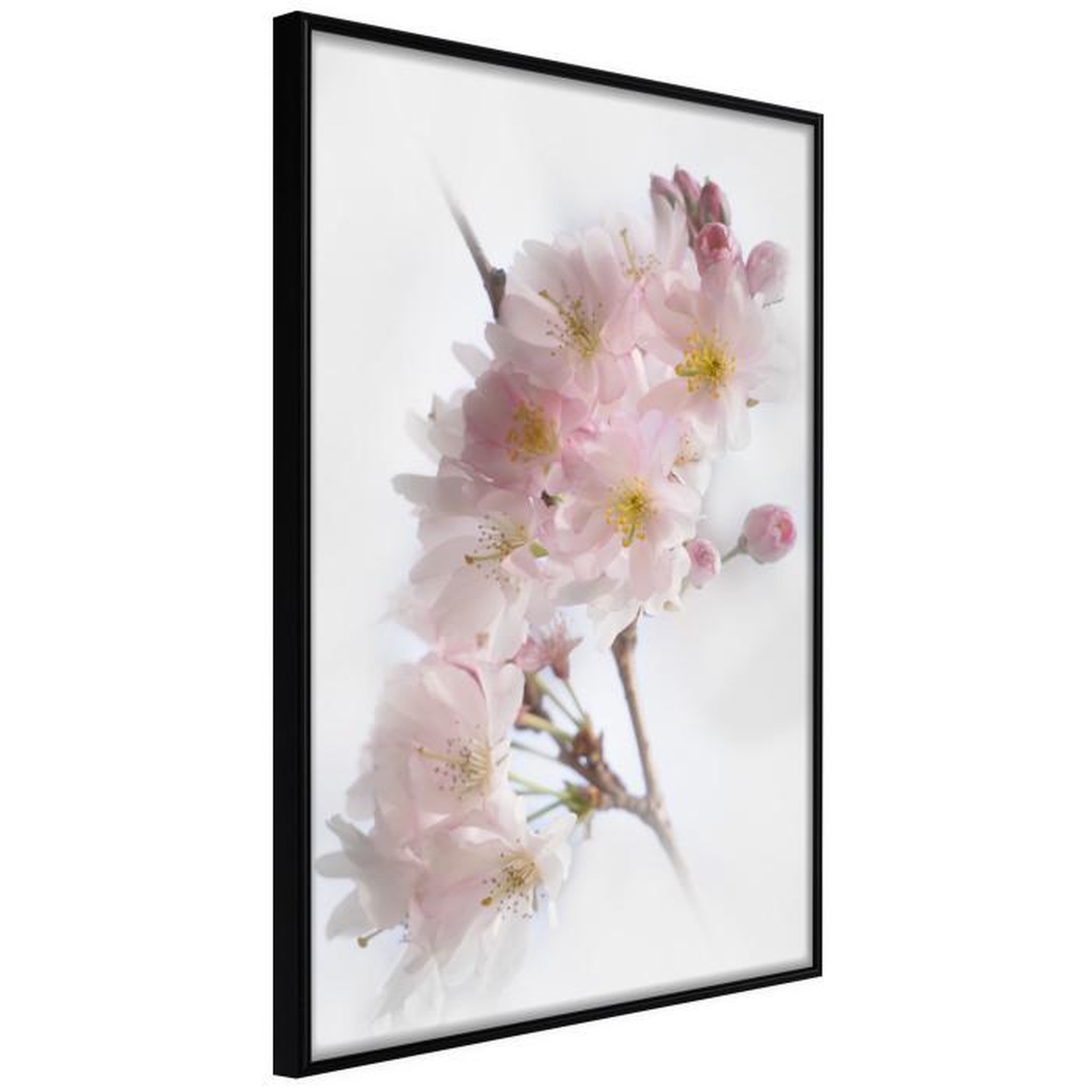 Paris Prix Affiche Murale Encadrée  Scent of Spring. Coloris disponibles : Noir, Jaune