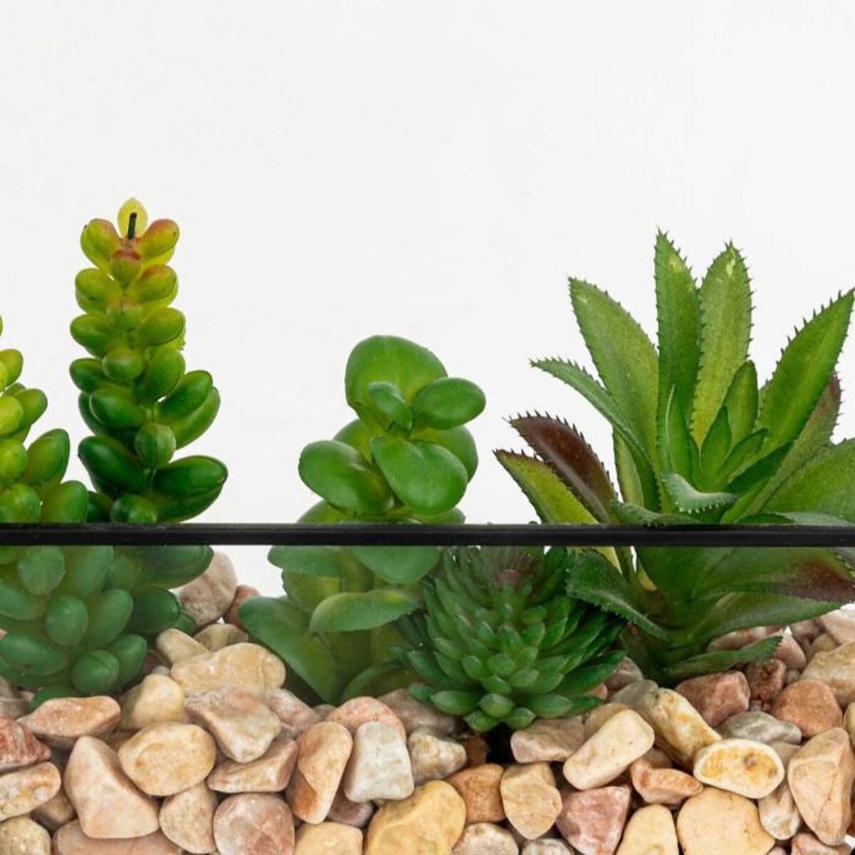 ATMOSPHERA Terrarium Hexagonal en Verre  Pia  20cm Noir