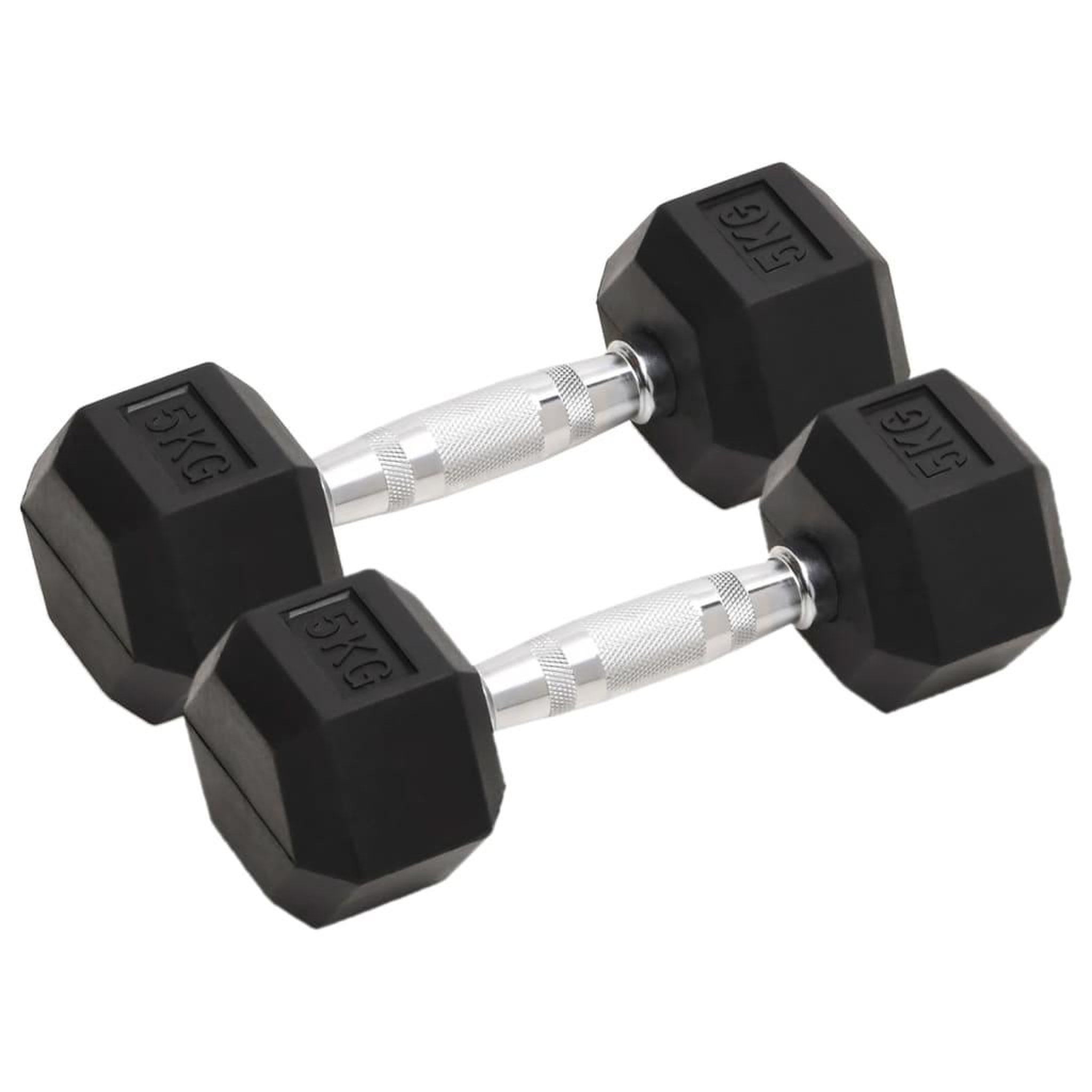VIDAXL Halteres 2 pcs 10 kg Fonte