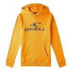 O'NEILL Sweat  Garçon O'Neill N4750004. Coloris disponibles : Orange