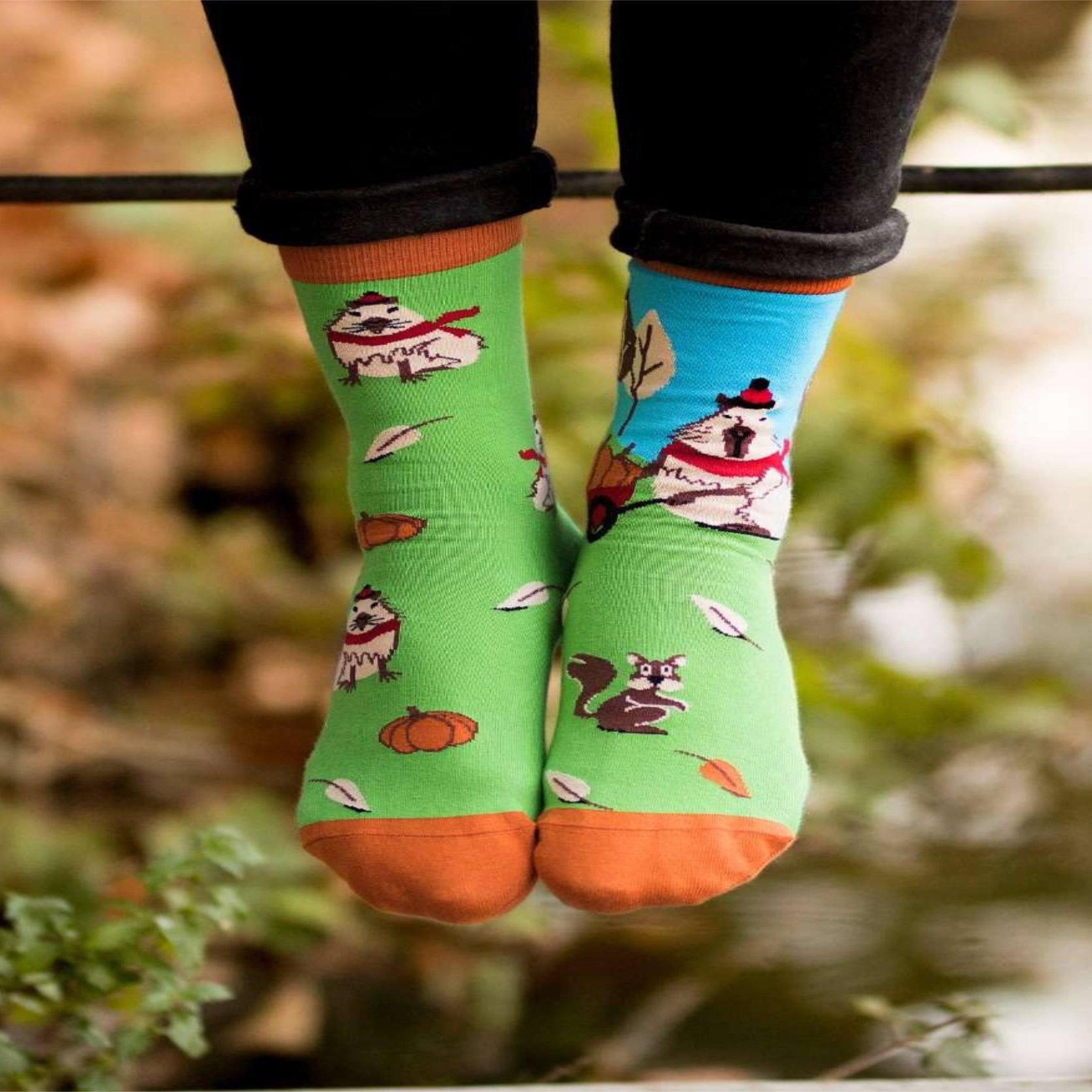 Voir la diapositive 2 : PIRIN HILL Chaussettes arty georges le capybara - vert