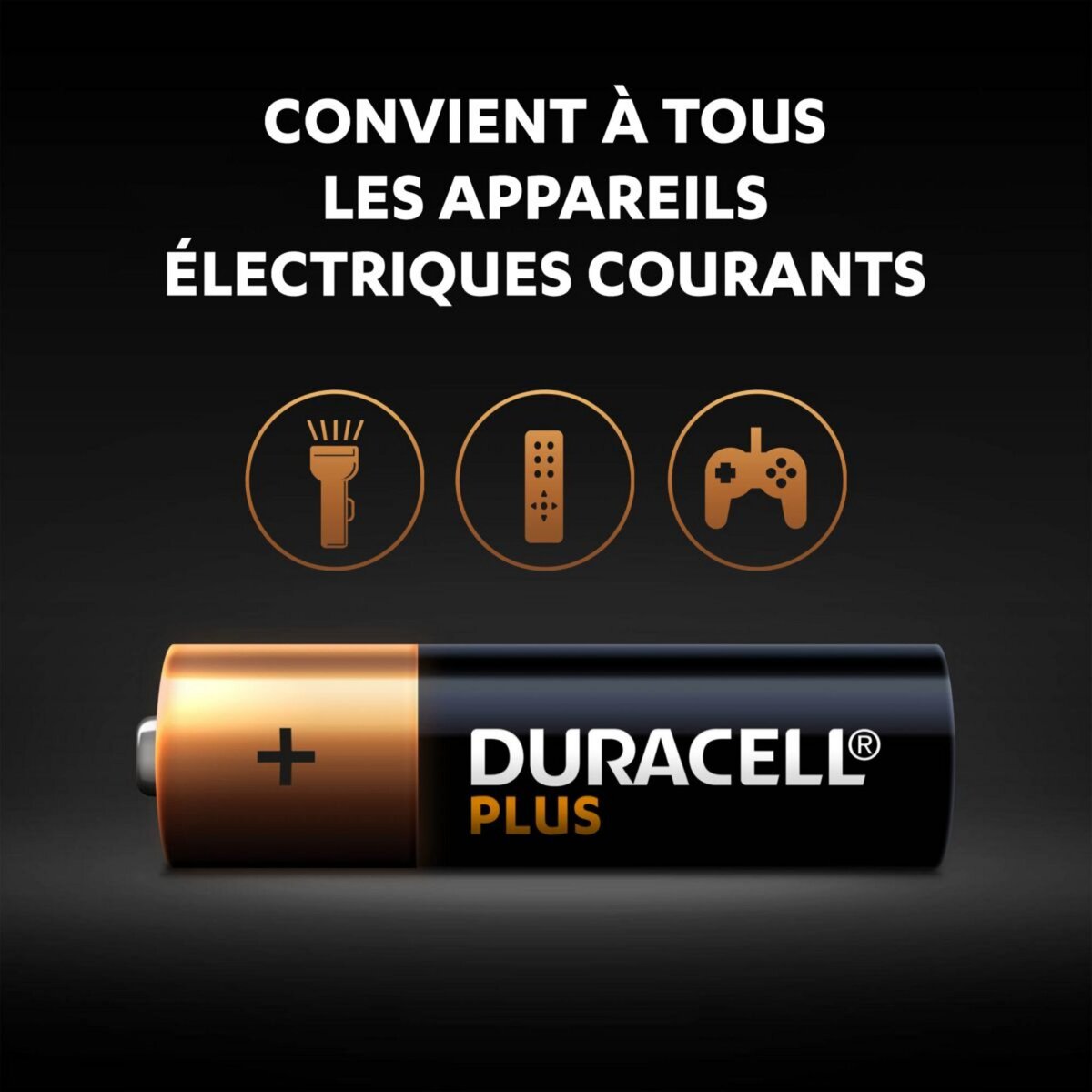 DURACELL Lot de 24 piles duracell plus 100 % AA panière