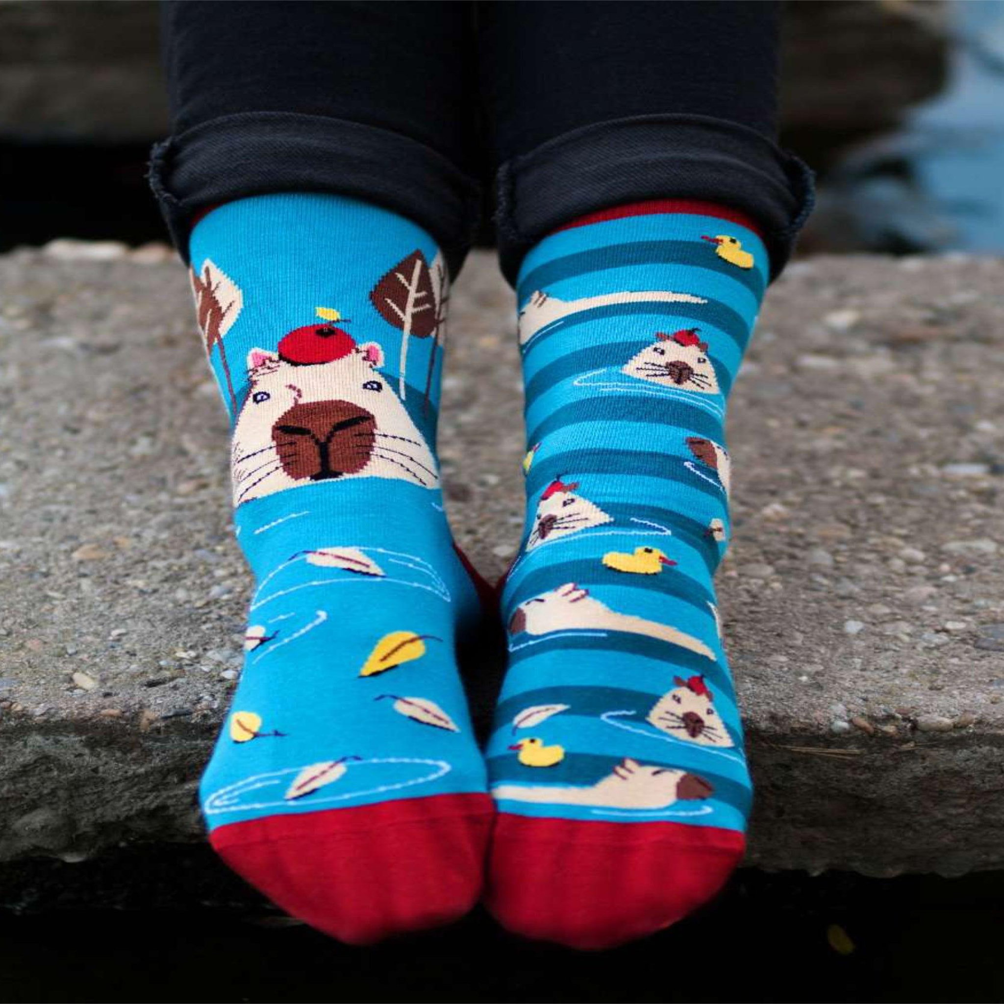 Voir la diapositive 2 : PIRIN HILL Chaussettes arty georges le capybara - turquoise