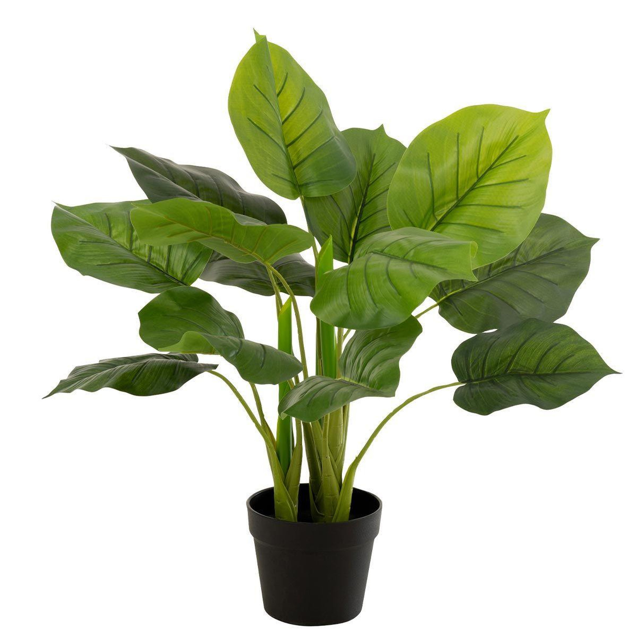 J-LINE Plante artificielle en pot  pothos  55cm vert