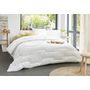 Voir la diapositive 2 : COLAS NORMAND Couette chaude en percale coton 91 fils 400g/m²