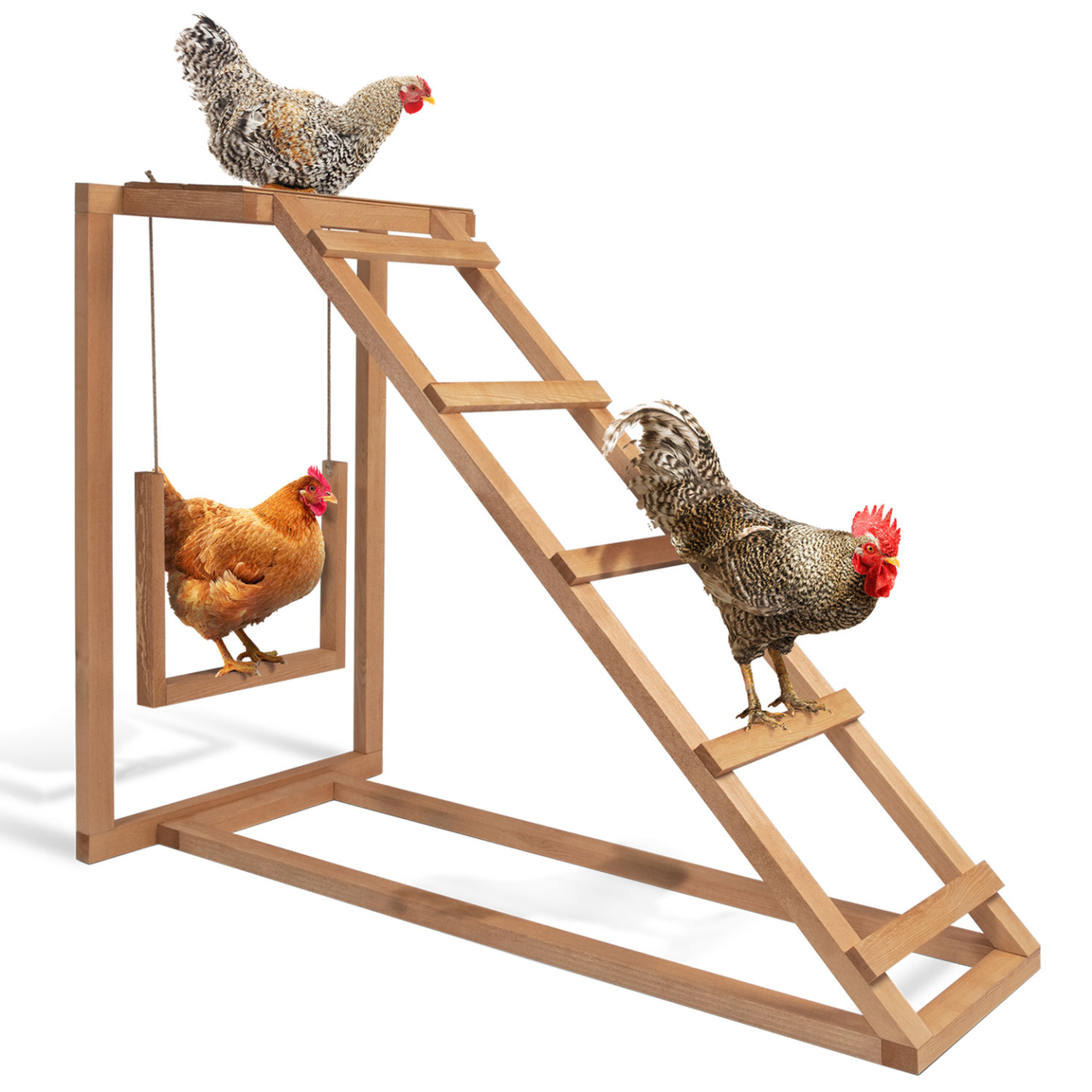 ID MARKET Aire de jeux en bois pour poules avec balançoire et perchoir