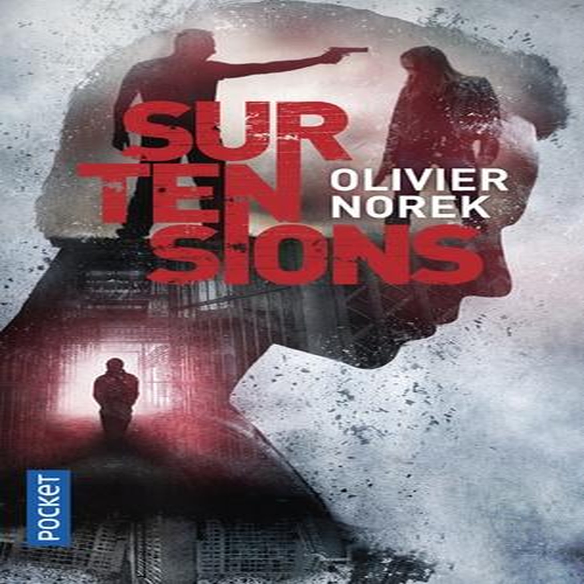 SURTENSIONS, Norek Olivier