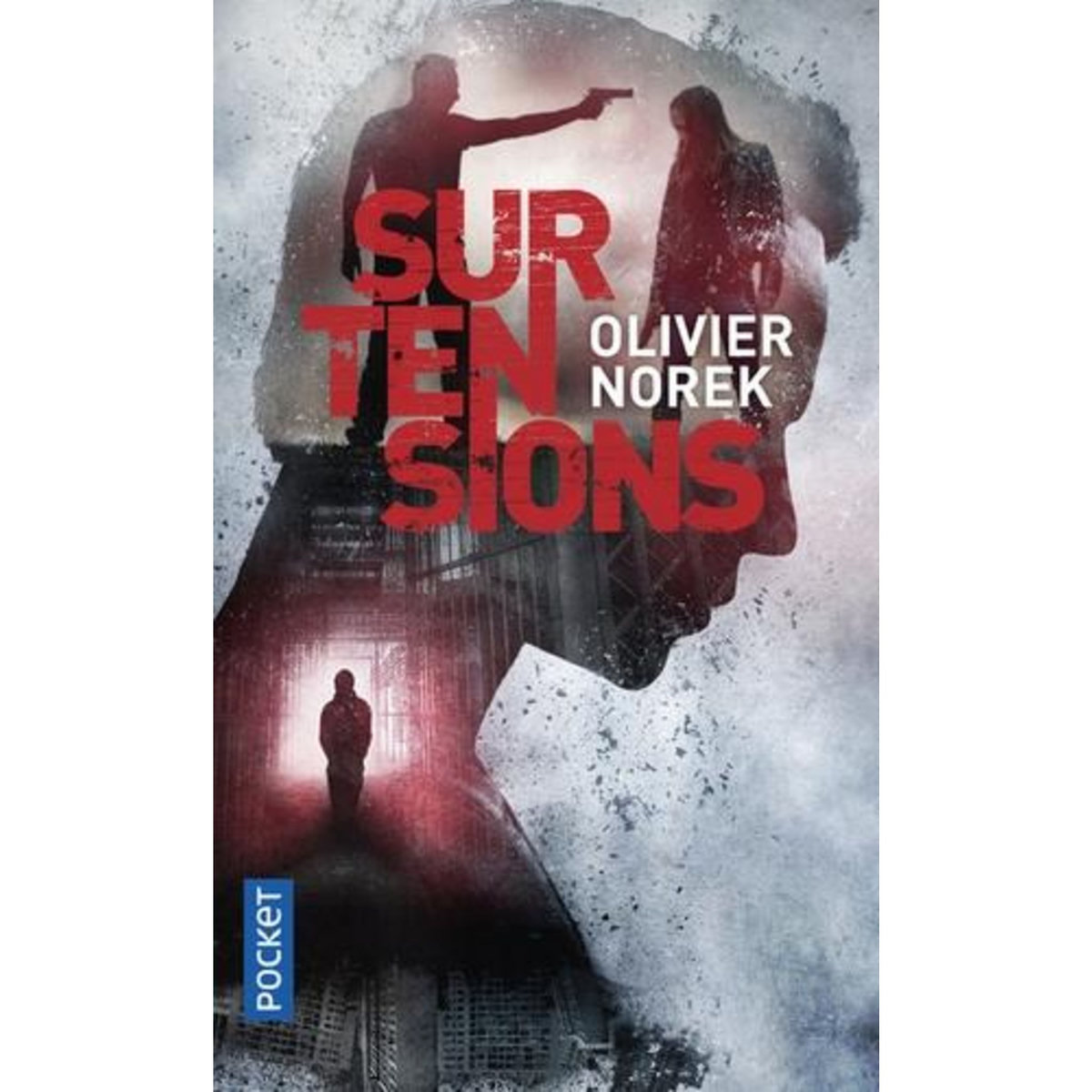 SURTENSIONS, Norek Olivier