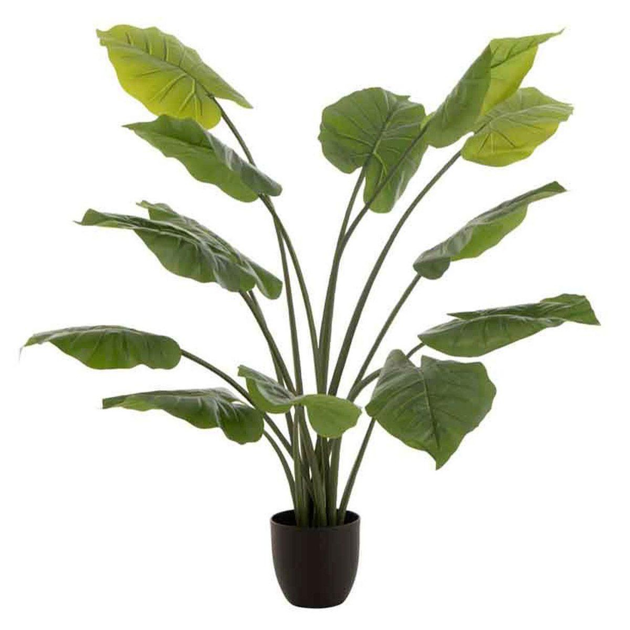 J-LINE Plante artificielle  taro sauvage  123cm vert
