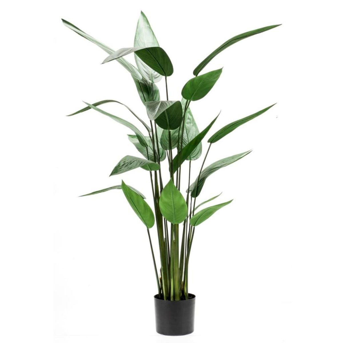 EMERALD Emerald Plante artificielle Heliconia Vert 125 cm 419837