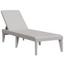 Voir la diapositive 2 : VIDAXL Chaise longue gris 186x60x29 cm PP