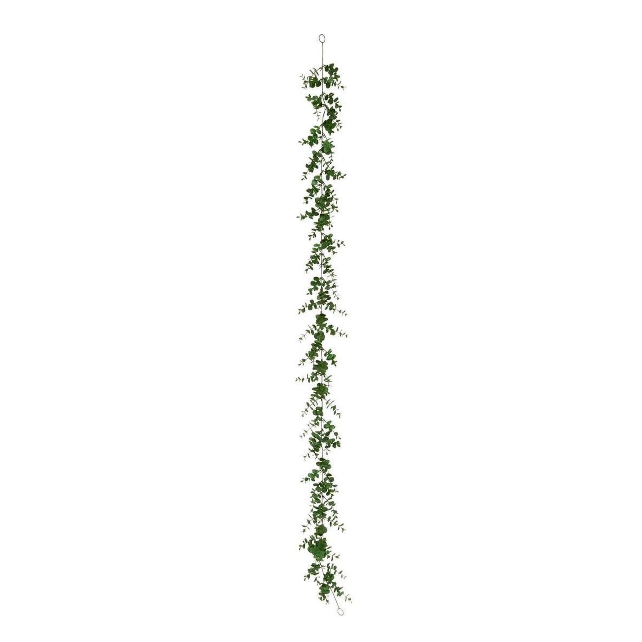 ATMOSPHERA Guirlande d'eucalyptus artificiel  walker  170cm vert