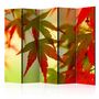 Voir la diapositive 1 : Paris Prix Paravent 5 Volets  Colourful Leaves  172x225cm