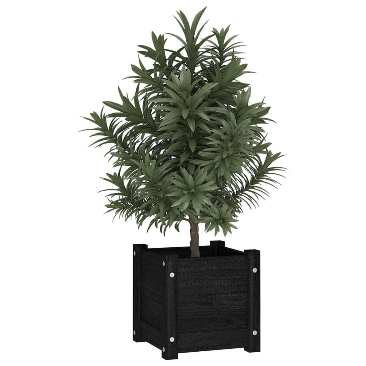 VIDAXL Jardiniere d'exterieur Noir 31x31x31 cm Bois de pin massif