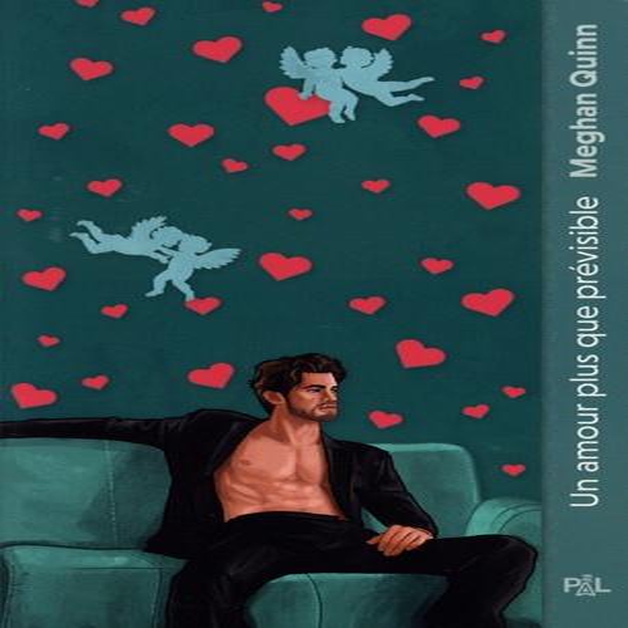 LES FRERES CANE TOME 3 : UN AMOUR PLUS QUE PREVISIBLE, Quinn Meghan