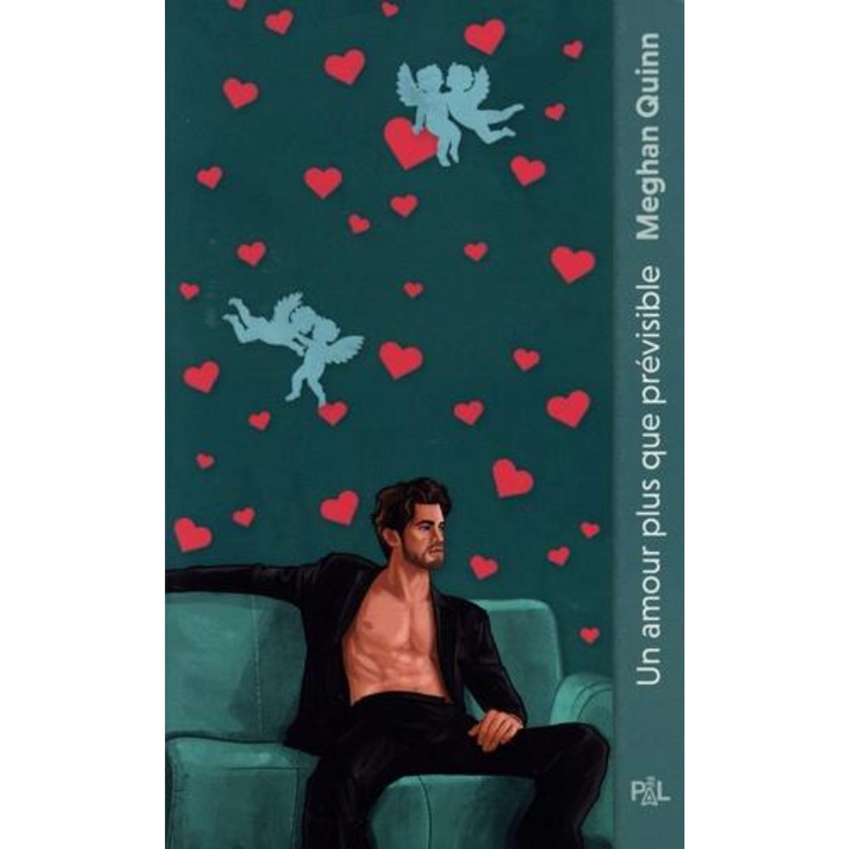 LES FRERES CANE TOME 3 : UN AMOUR PLUS QUE PREVISIBLE, Quinn Meghan