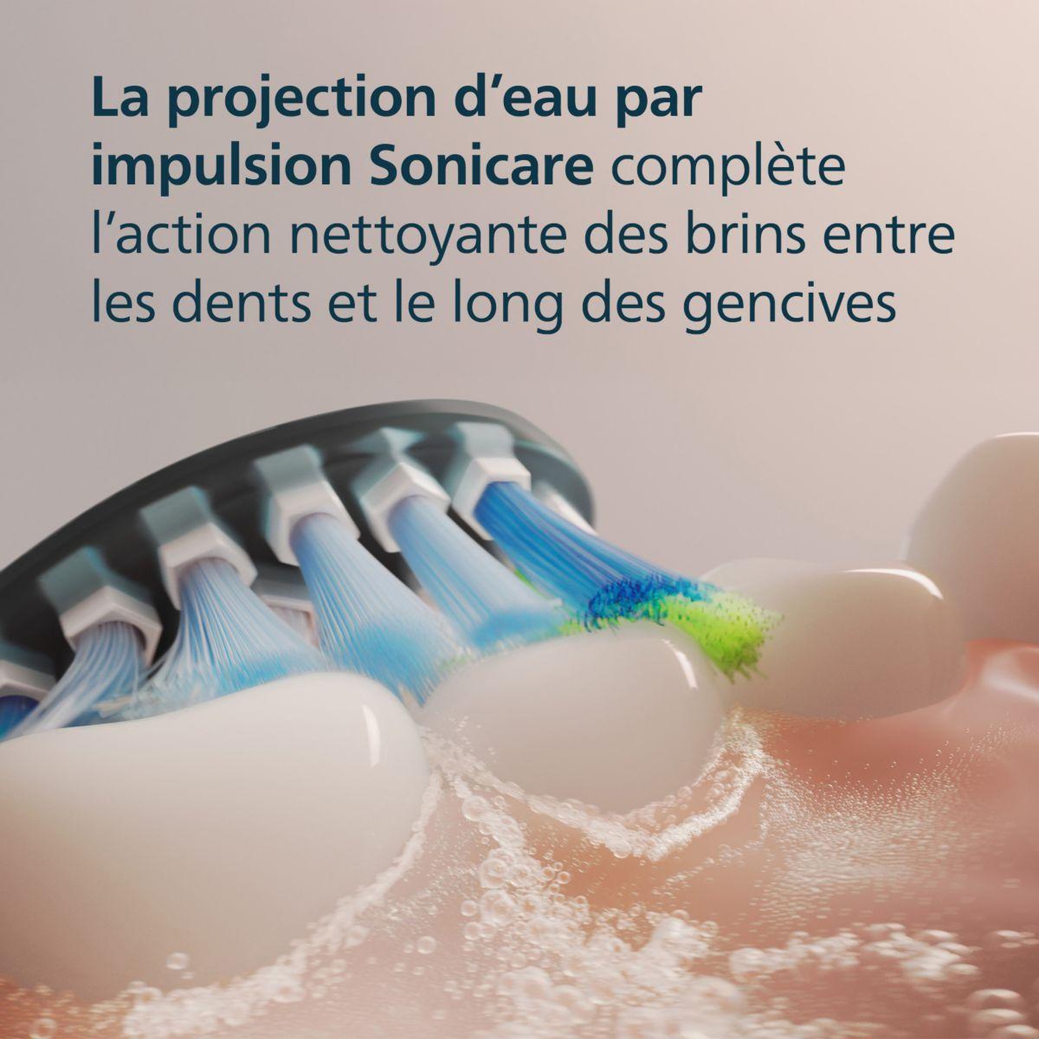 Voir la diapositive 5 : Philips Brossette dentaire Sonicare lot de 2 -  HX9042/88 black Premium Plaque Defence C3