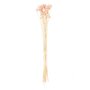 RICO DESIGN Cardères japonais séchés rose - 70 cm