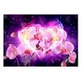 Voir la diapositive 2 : Paris Prix Papier Peint  Orchids in Flames