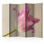Voir la diapositive 1 : Paris Prix Paravent 5 Volets  Pink Tulip  172x225cm