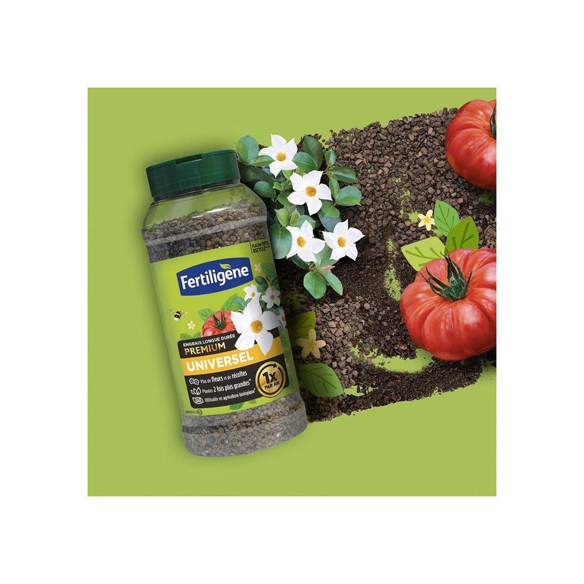 Voir la diapositive 5 : Fertiligene Fertiligene engrais universel longue durée orga-minéral npk 11-2.5-3 600 g, pour plantes d'ornement et légumes