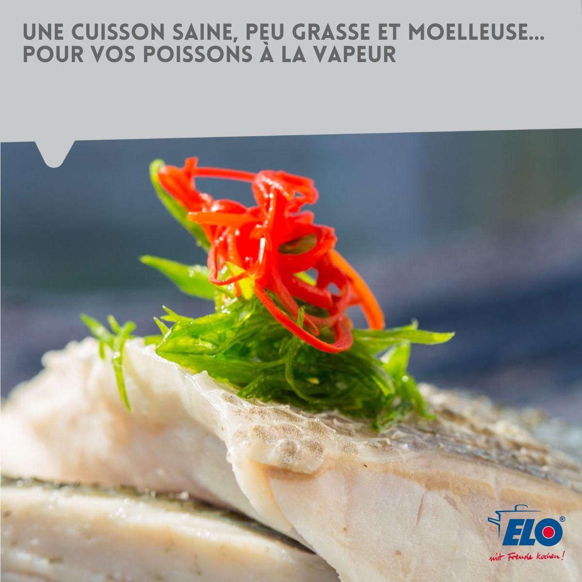 ELO Cuiseur vapeur en inox 18 cm de 2 litres Elo Citrin