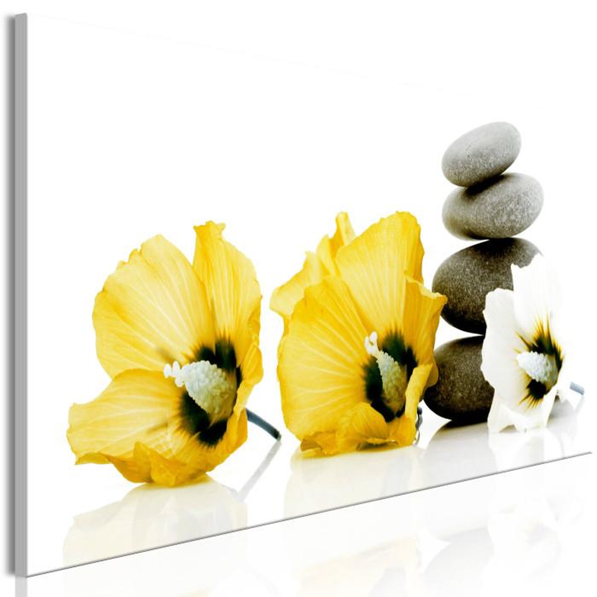 Paris Prix Tableau Imprimé  Calm Mallow Narrow Yellow. Coloris disponibles : Multicolore