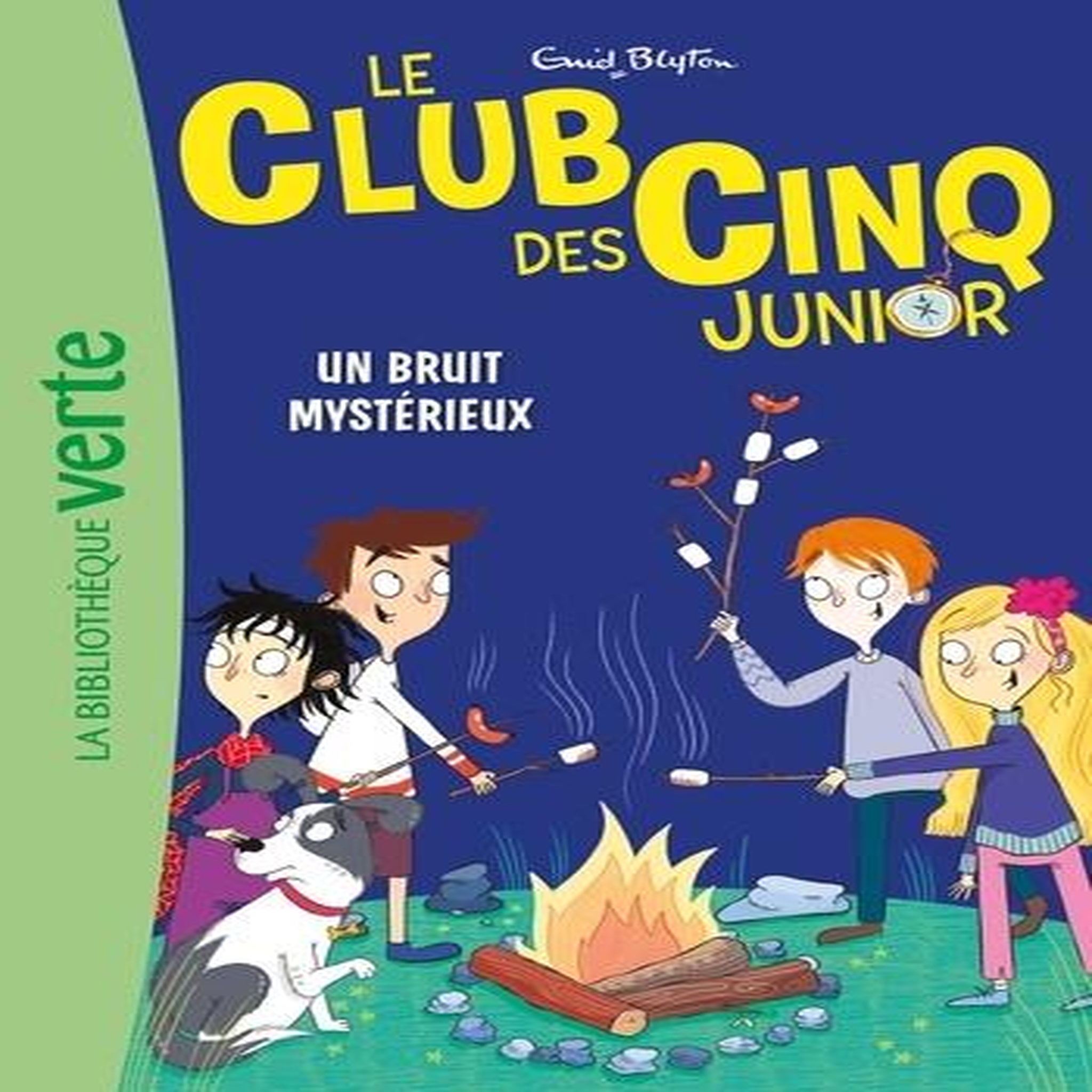 LE CLUB DES CINQ JUNIOR TOME 14 : UN BRUIT MYSTERIEUX, Blyton Enid