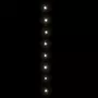 VIDAXL Guirlande lumineuse 1000 LED Interieur et exterieur 100 m Blanc