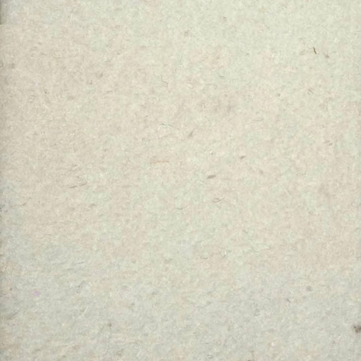 Ubbink Feutre géotextile de sécurité blanc prepacked 5 x 2 m- 200g/m² - Ubbink