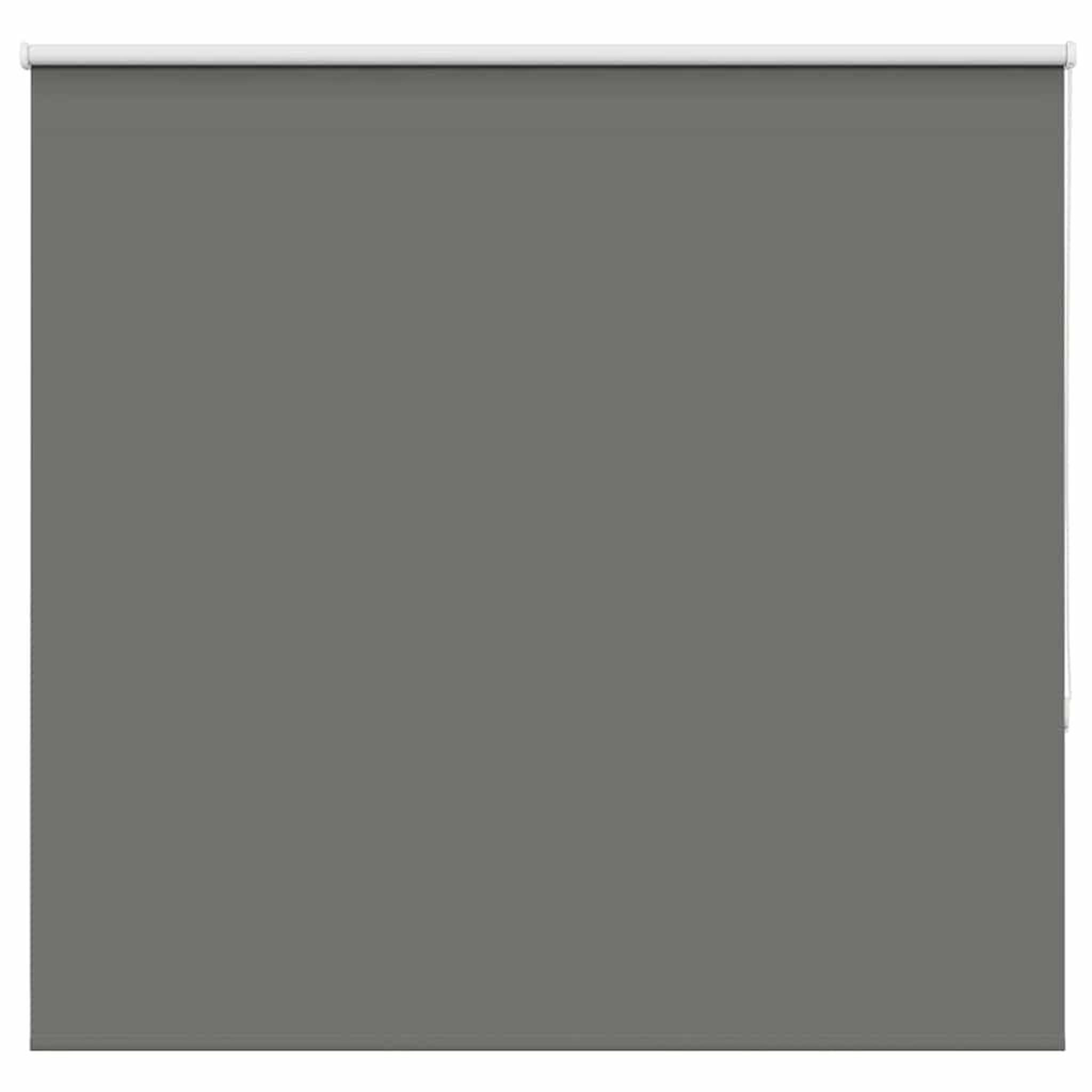 VIDAXL Store enrouleur occultant largeur du tissu 161,6 cm polyester