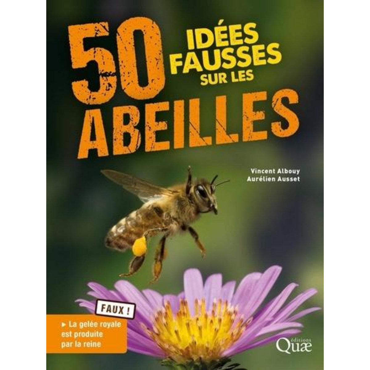50 IDEES FAUSSES SUR LES ABEILLES, Albouy Vincent