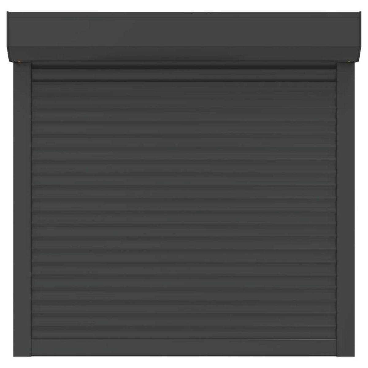 VIDAXL Volet roulant aluminium 100x100 cm anthracite
