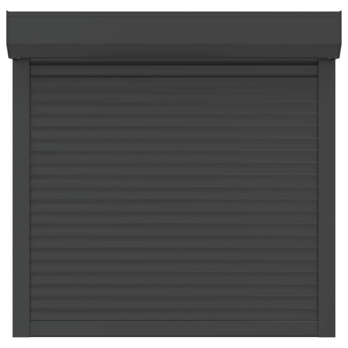 VIDAXL Volet roulant aluminium 100x100 cm anthracite
