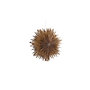 Voir la diapositive 4 : Paris Prix Lampe Suspension Design  Selen  35cm Marron Clair