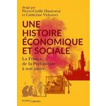UNE HISTOIRE ECONOMIQUE ET SOCIALE. LA FRANCE, DE LA PREHISTOIRE A NOS JOURS, Virlouvet Catherine