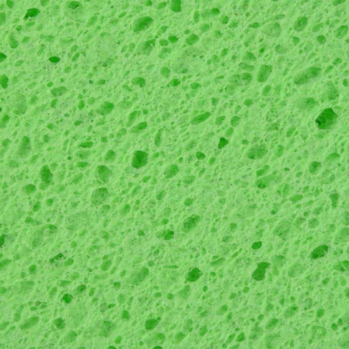 Paris Prix Lot de 4 Éponges  Multi-Usages  15cm Multicolore