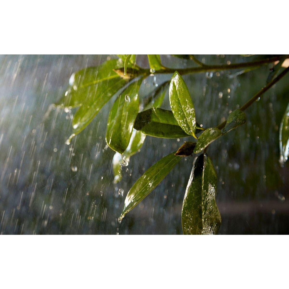 Philips Module HUE Extension 5M Ext