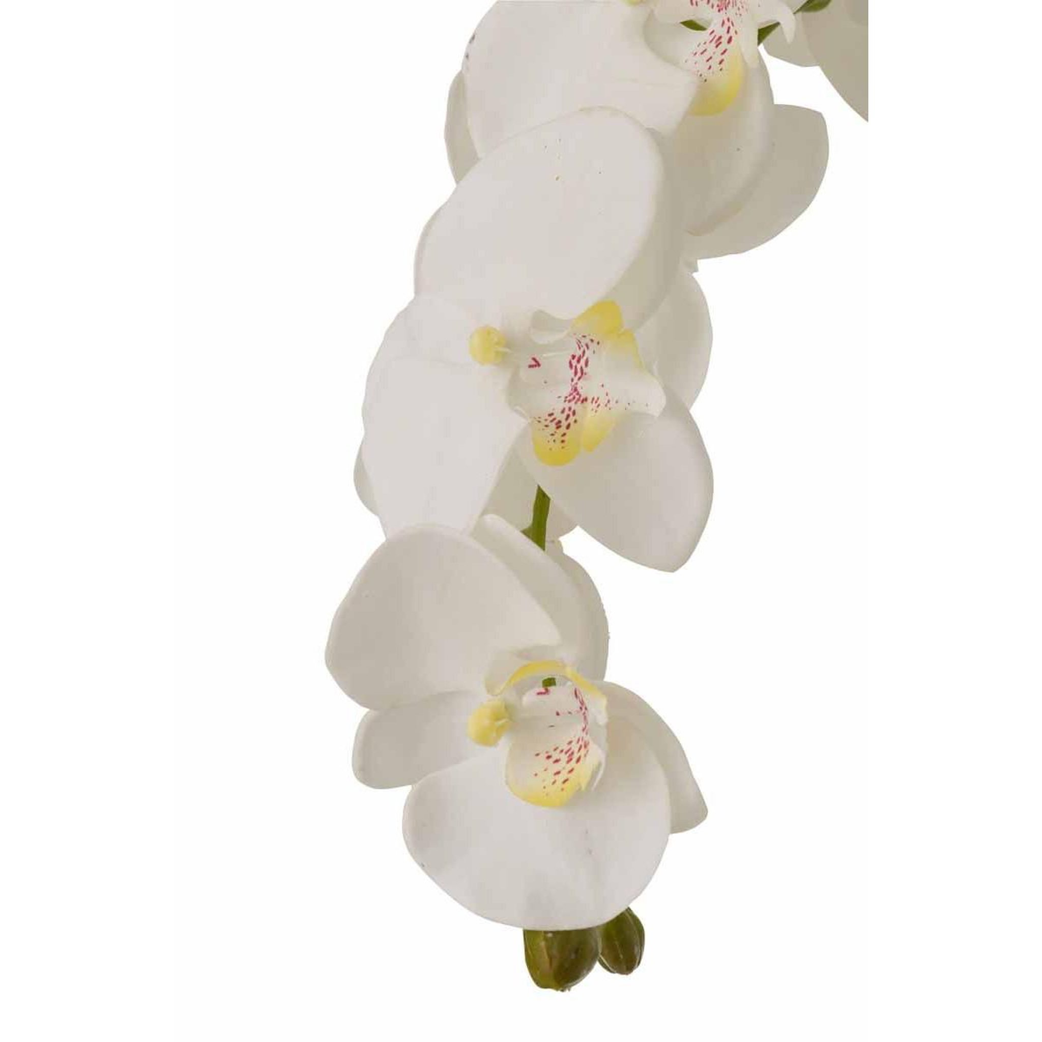 Voir la diapositive 2 : J-LINE Fleur artificielle déco  orchidée en terre  98cm blanc