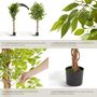 Voir la diapositive 4 : tectake Ficus artificiel design très réaliste vert