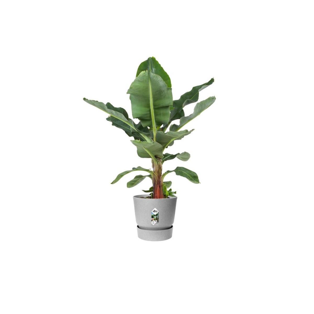 ELHO Pot de fleurs rond en plastique Ø 30 cm Elho Greenville Round gris ciment pour jardin et balcon