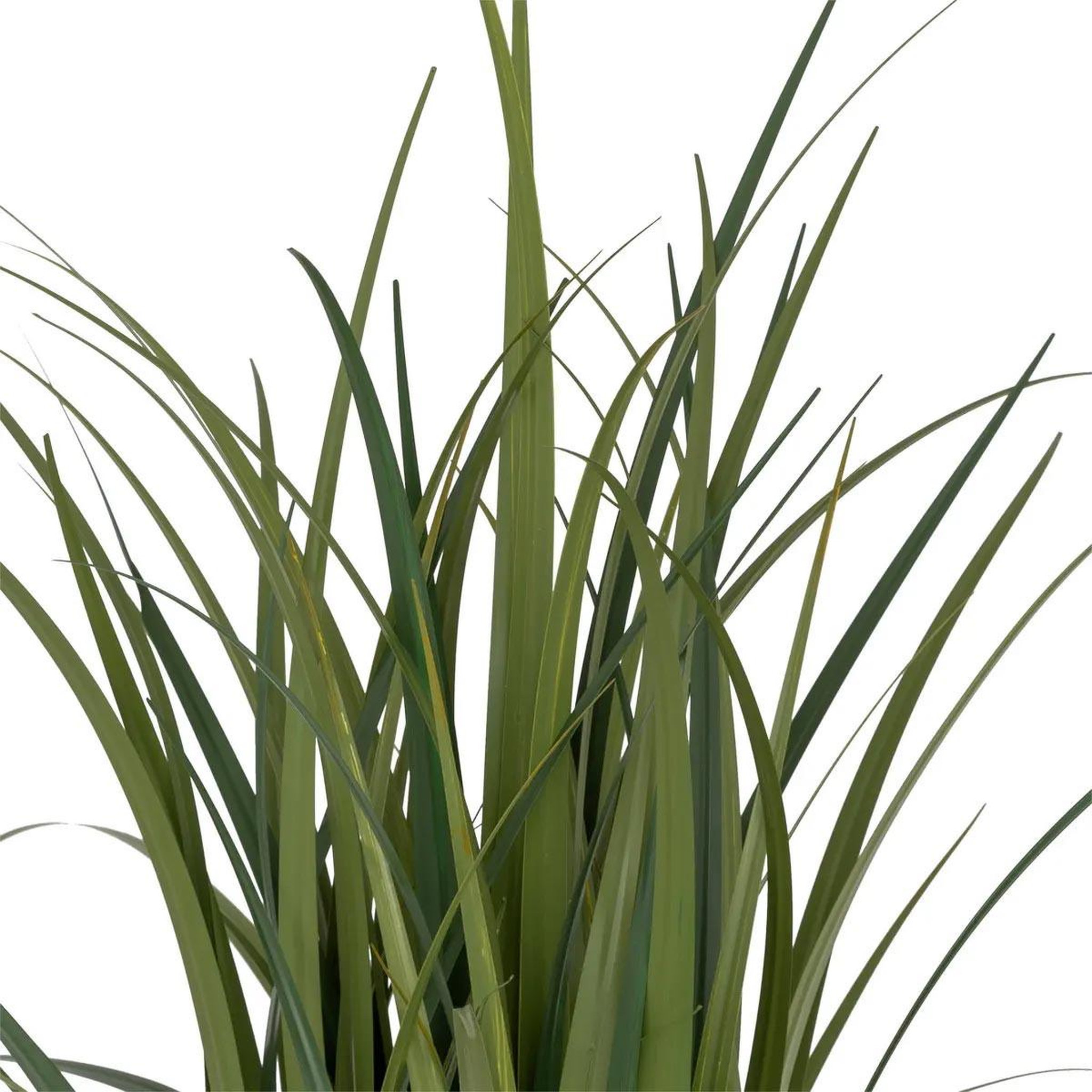 Voir la diapositive 2 : ATMOSPHERA Plante artificielle bunch de lin  zya  122cm vert