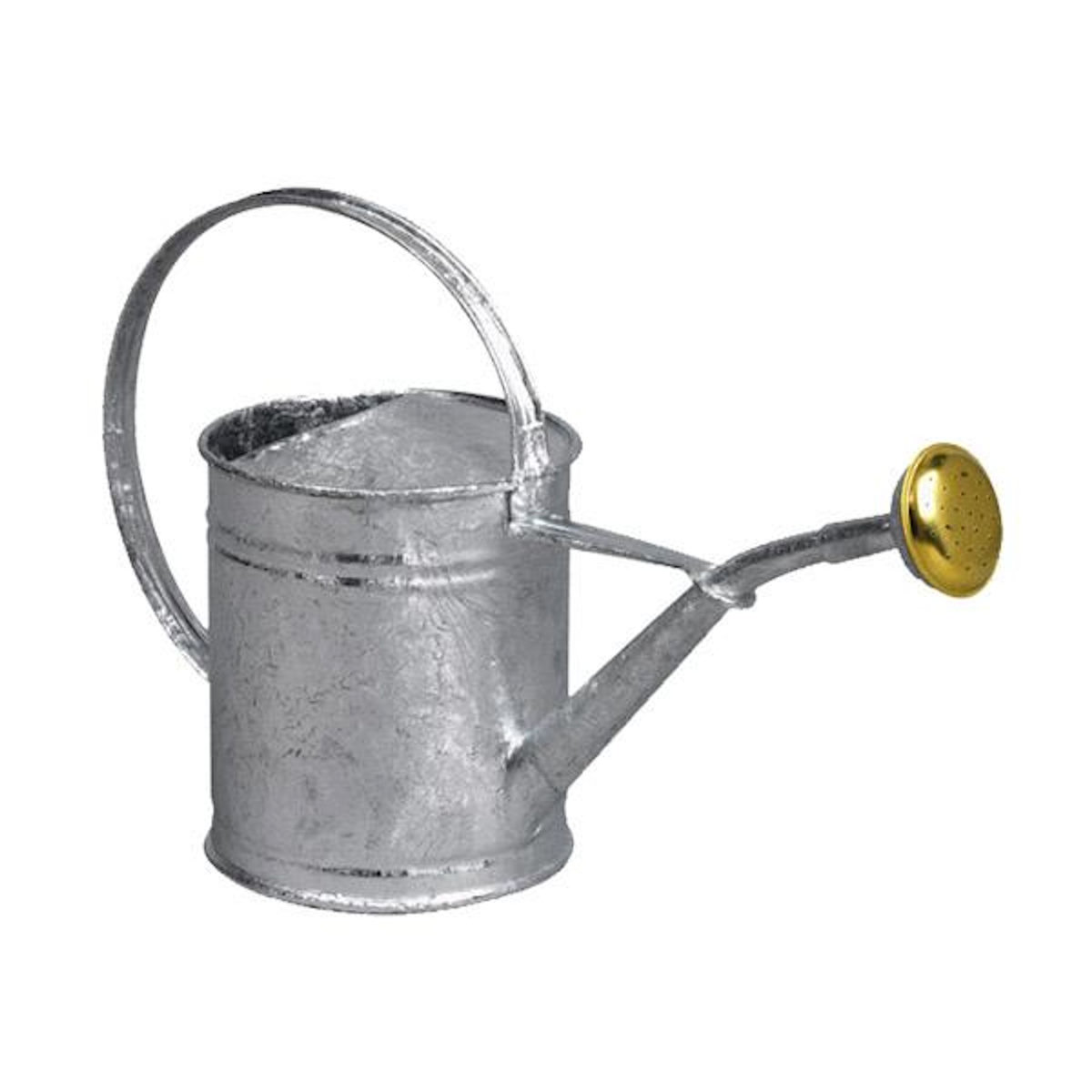 Guillouard Arrosoir acier galvanisé 1l - 80300