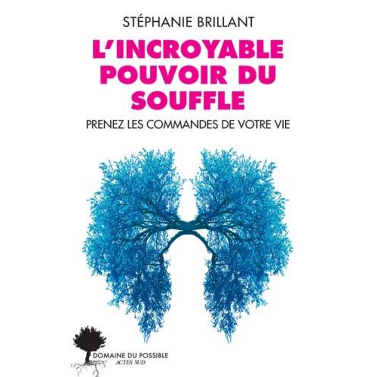 L'INCROYABLE POUVOIR DU SOUFFLE. PRENEZ LES COMMANDES DE VOTRE VIE, Brillant Stéphanie
