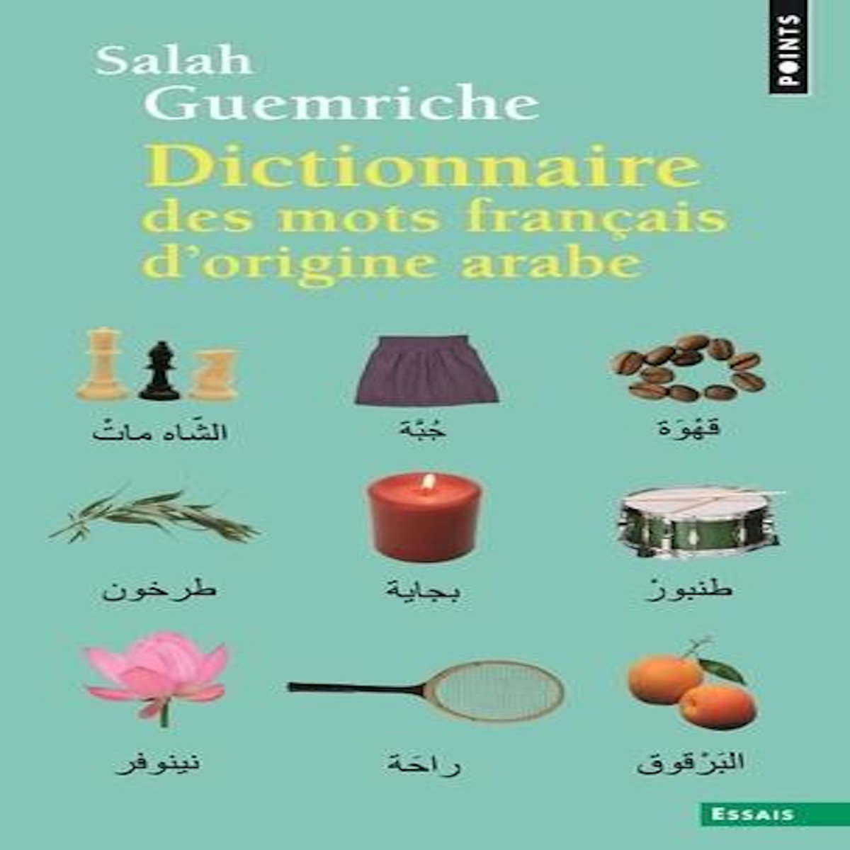 DICTIONNAIRE DES MOTS FRANCAIS D'ORIGINE ARABE (ET TURQUE ET PERSANE). ACCOMPAGNE D'UNE ANTHOLOGIE LITTERAIRE, 400 EXTRAITS D'AUTEURS FRANCAIS, DE RABELAIS A... HOUELLEBECQ, Guemriche Salah