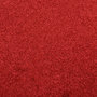 Voir la diapositive 5 : VIDAXL Paillasson Rouge 40x60 cm