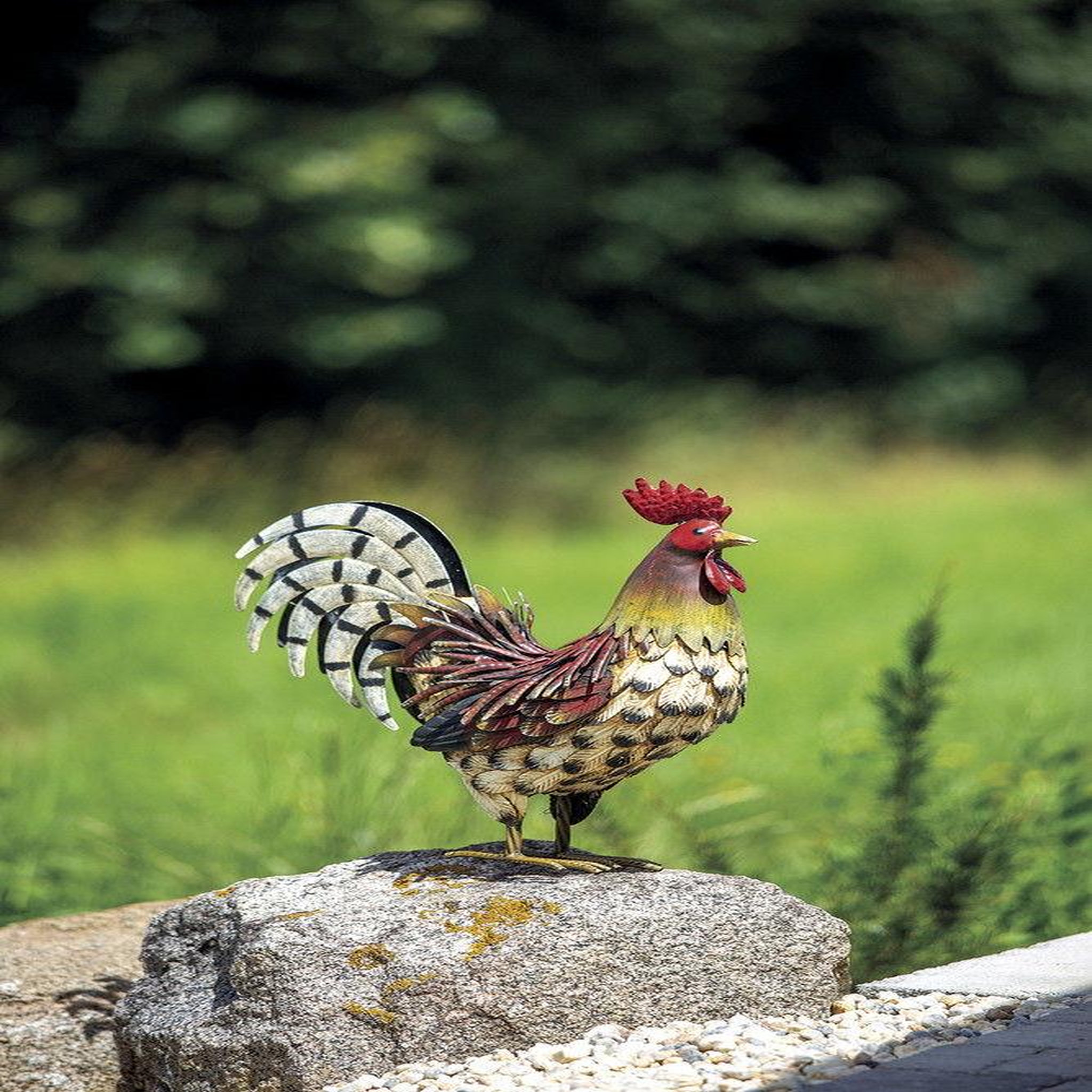 Nortene Coq décoratif stylisé Harry en métal - 34 x 3 x 35 cm